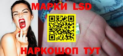 гидра Краснознаменск